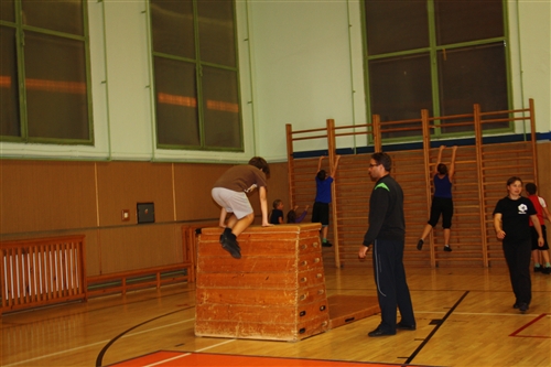 Obrázek v galerii